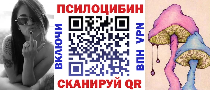 Псилоцибиновые грибы Psilocybe Новочеркасск